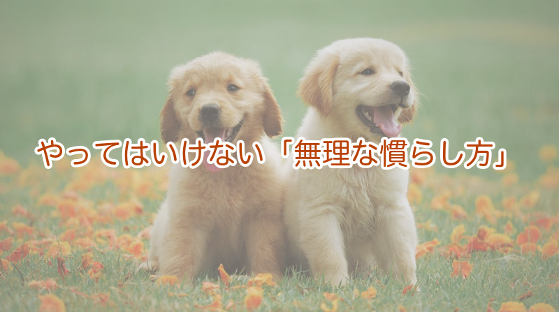 やってはいけない「無理な慣らし方」