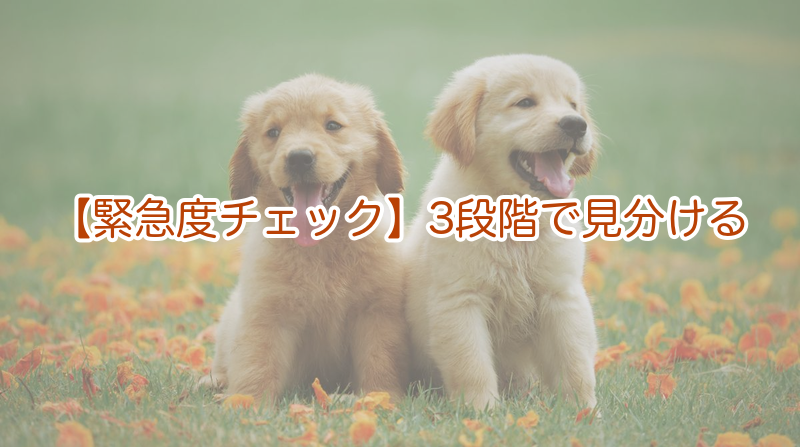 緊急度を3段階で見分けるポイント