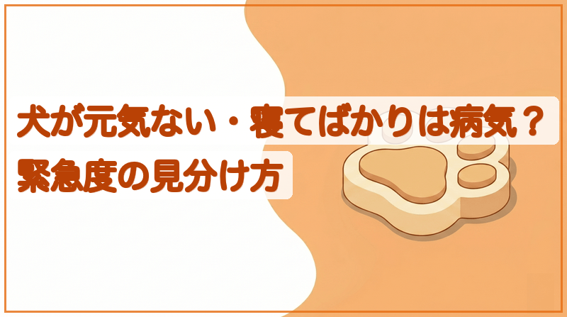 犬が元気ない・寝てばかりは病気？緊急度の見分け方をイメージできる記事のメイン画像