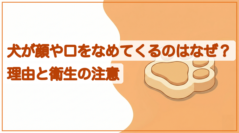 犬が顔や口をなめてくるのはなぜ？理由と衛生の注意をイメージできる記事のメイン画像