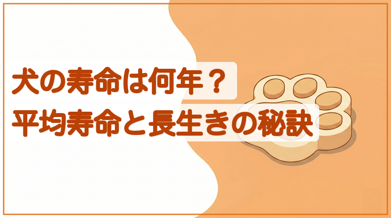 犬の寿命は何年？平均寿命・犬種別・長生きの秘訣をイメージできる記事のメイン画像