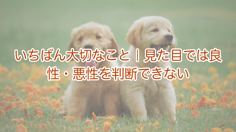 しこりの良性・悪性は見た目で分かる？