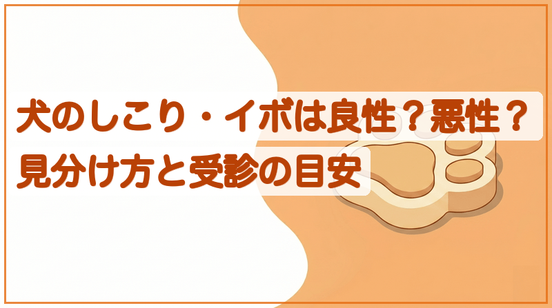 犬のしこり・イボは良性？悪性？見分け方と受診の目安をイメージできる記事のメイン画像
