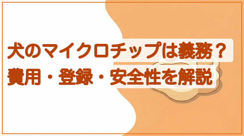 犬のマイクロチップは義務？費用・登録方法・安全性をやさしく解説をイメージできる記事のメイン画像