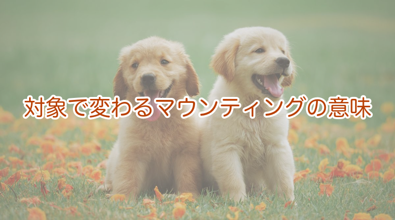 対象で変わるマウンティングの意味
