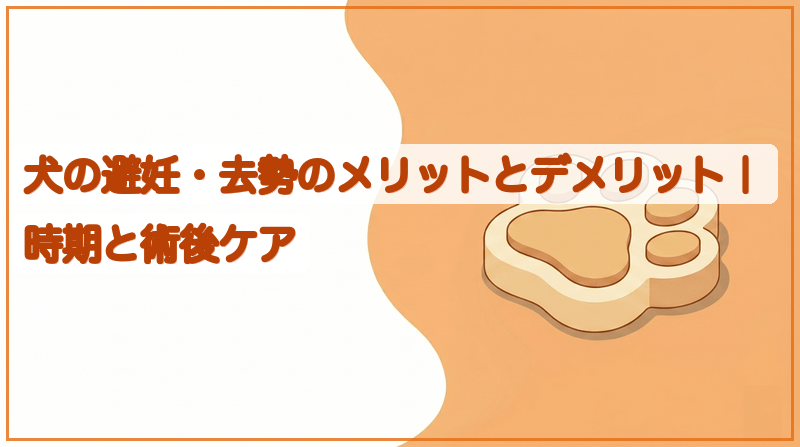 犬の避妊・去勢のメリットとデメリット｜時期と術後ケアをイメージできる記事のメイン画像
