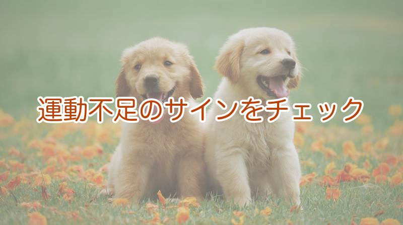 運動不足のサインをチェック