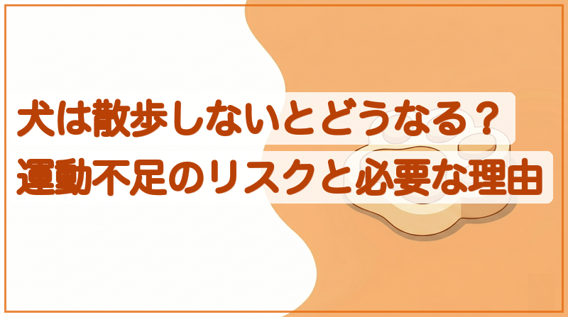 犬は散歩しないとどうなる？運動不足のリスクと必要な理由をイメージできる記事のメイン画像