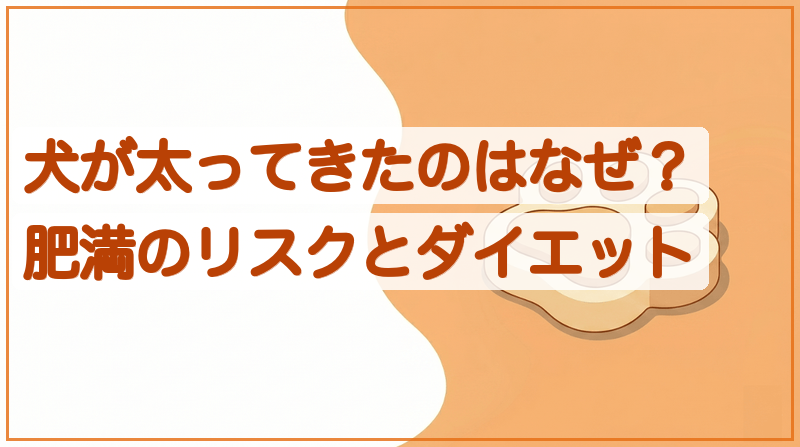 犬が太ってきたのはなぜ？肥満のリスクとダイエットをイメージできる記事のメイン画像
