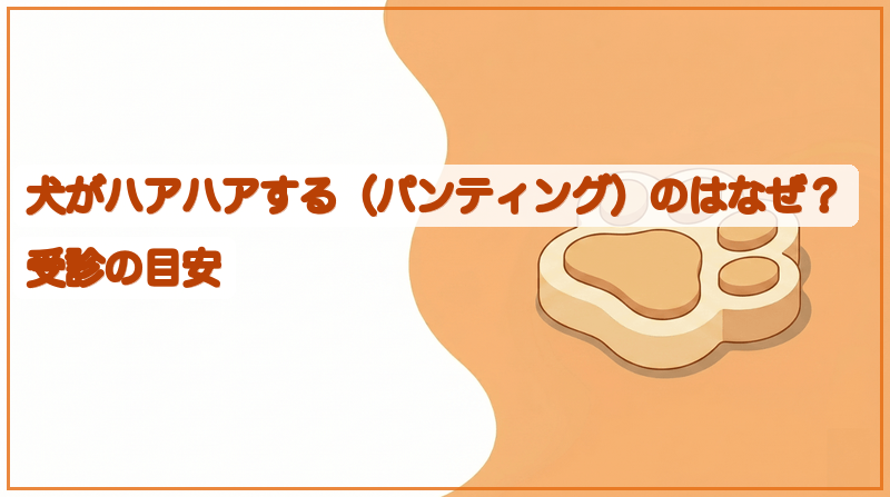 犬がハアハアする（パンティング）のはなぜ？受診の目安をイメージできる記事のメイン画像