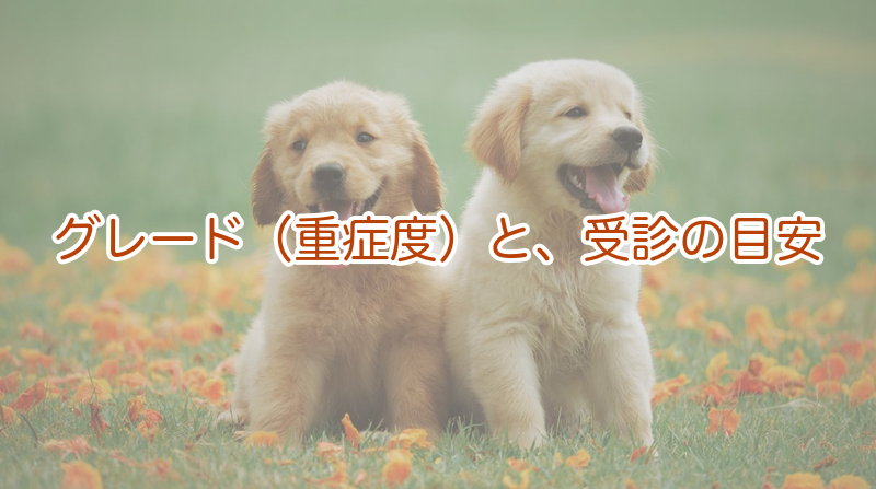 パテラのグレード（重症度）と受診の目安