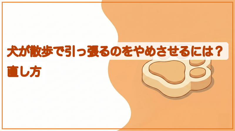 犬が散歩で引っ張るのをやめさせるには？直し方をイメージできる記事のメイン画像