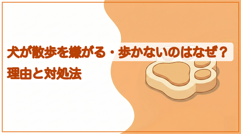 犬が散歩を嫌がる・歩かないのはなぜ？理由と対処法をイメージできる記事のメイン画像