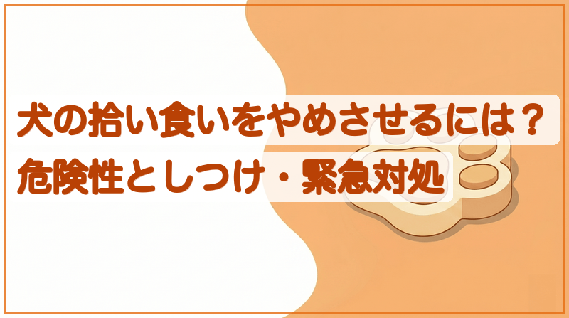 犬の拾い食いをやめさせるには？危険性としつけ・緊急対処をイメージできる記事のメイン画像