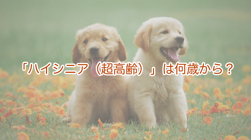 「ハイシニア（超高齢）」は何歳から？