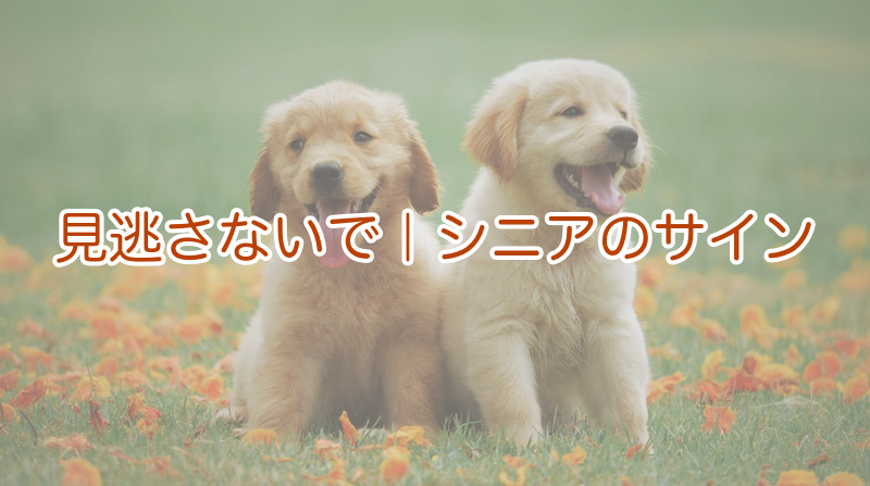 見逃さないで｜シニアのサイン