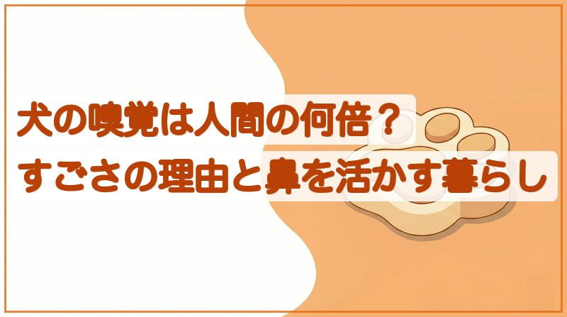 犬の嗅覚は人間の何倍？すごさの理由と鼻を活かす暮らしをイメージできる記事のメイン画像