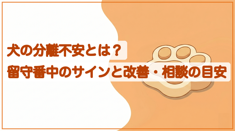 犬の分離不安とは？留守番中のサインと改善・相談の目安をイメージできる記事のメイン画像