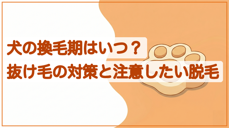 犬の換毛期はいつ？抜け毛の対策と注意したい脱毛をイメージできる記事のメイン画像