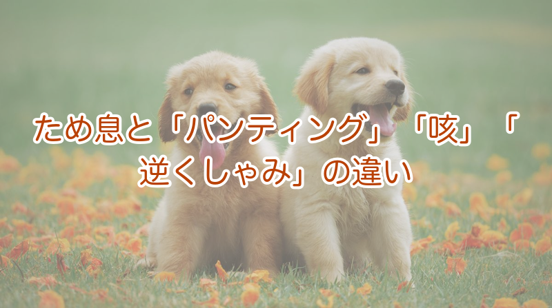 ため息と「パンティング」「咳」「逆くしゃみ」の違い