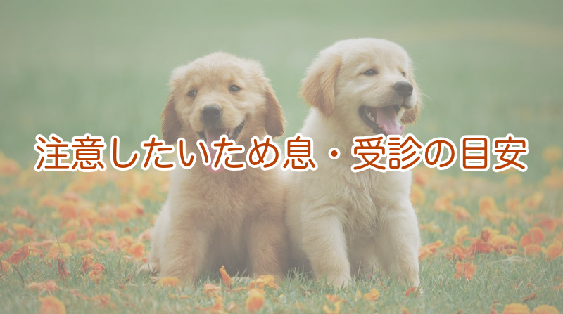 注意したいため息と受診の目安｜呼吸器・心臓