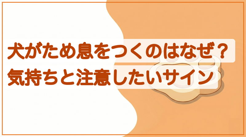 犬がため息をつくのはなぜ？気持ちと注意したいサインをイメージできる記事のメイン画像