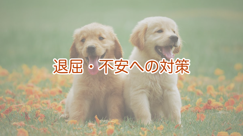 退屈・不安への対策