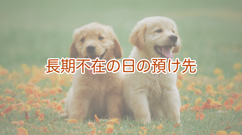 長期不在の日の預け先