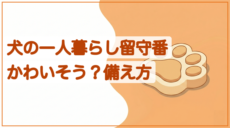 犬の一人暮らし留守番はかわいそう？後悔しないための備え方をイメージできる記事のメイン画像
