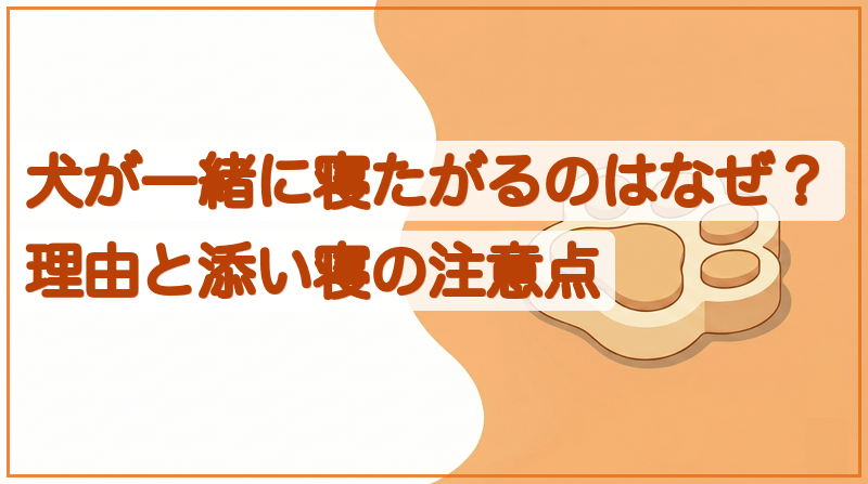 犬が一緒に寝たがるのはなぜ？理由と添い寝の注意点をイメージできる記事のメイン画像
