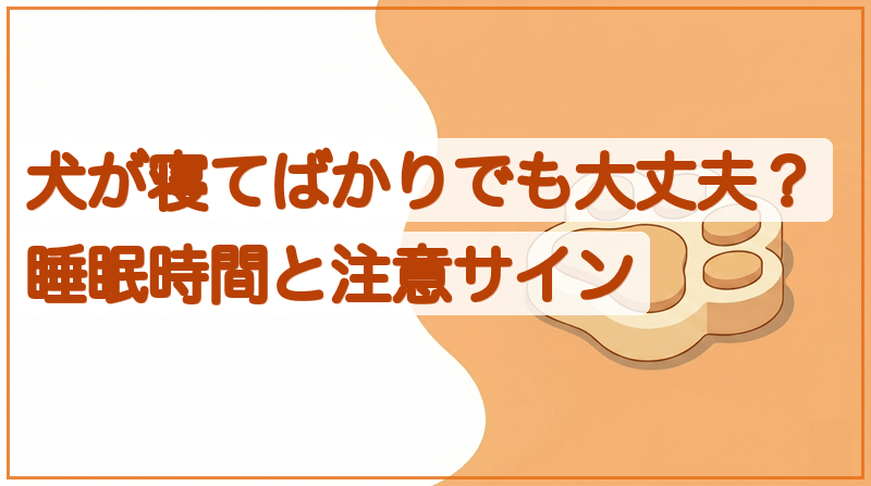 犬が寝てばかりでも大丈夫？睡眠時間と注意サインをイメージできる記事のメイン画像