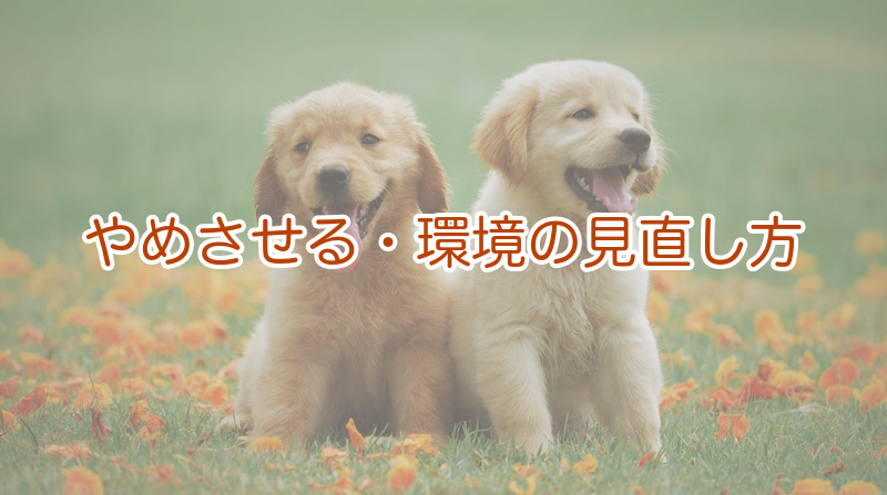 やめさせる・環境の見直し方