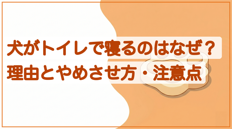 犬がトイレで寝るのはなぜ？理由とやめさせ方・注意点をイメージできる記事のメイン画像