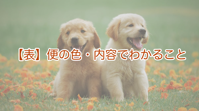 犬の便の色・内容でわかるサイン