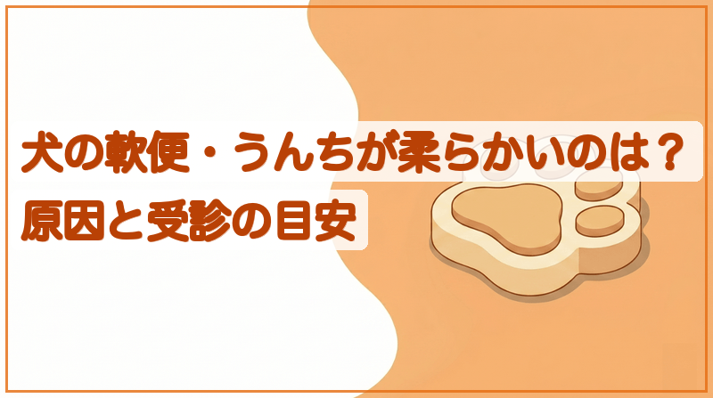 犬の軟便・うんちが柔らかいのはなぜ？原因と受診の目安をイメージできる記事のメイン画像