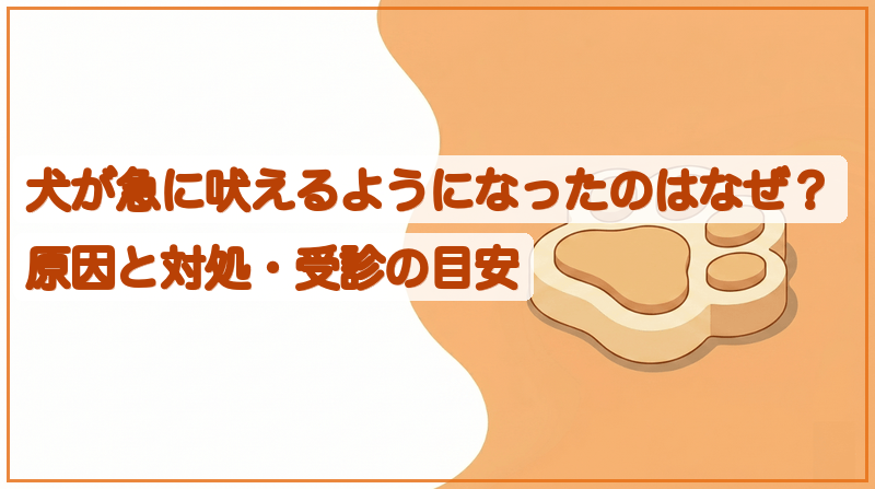 犬が急に吠えるようになったのはなぜ？原因と対処・受診の目安をイメージできる記事のメイン画像