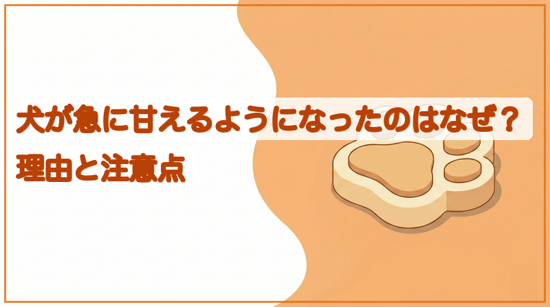 犬が急に甘えるようになったのはなぜ？理由と注意点をイメージできる記事のメイン画像