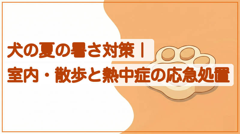 犬の夏の暑さ対策｜室内・散歩と熱中症の応急処置をイメージできる記事のメイン画像