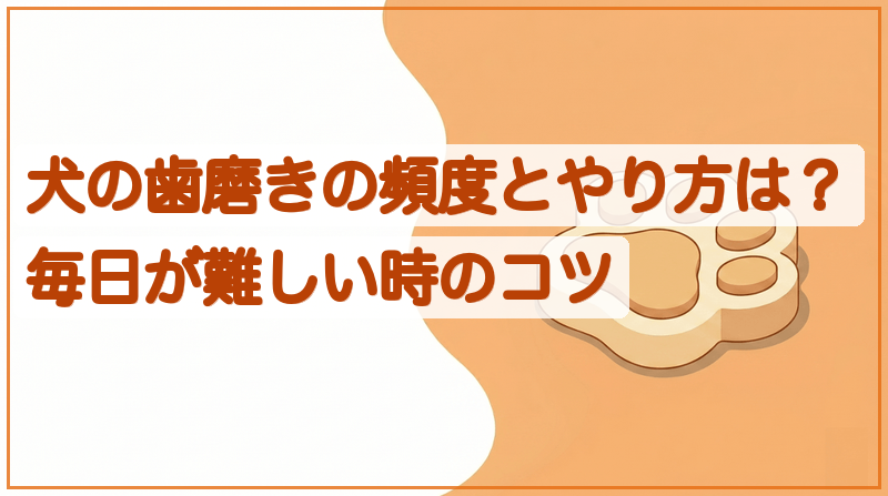 犬の歯磨きの頻度とやり方は？毎日が難しい時のコツをイメージできる記事のメイン画像