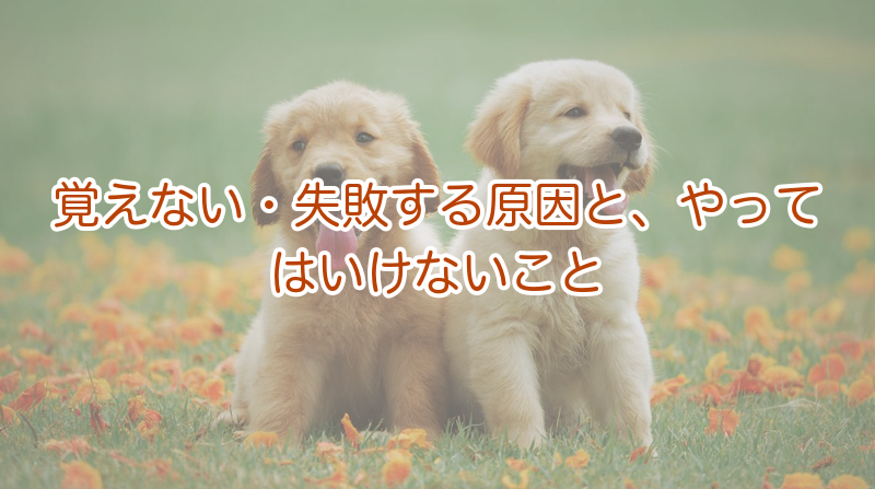 トイレを覚えない原因とやってはいけないこと