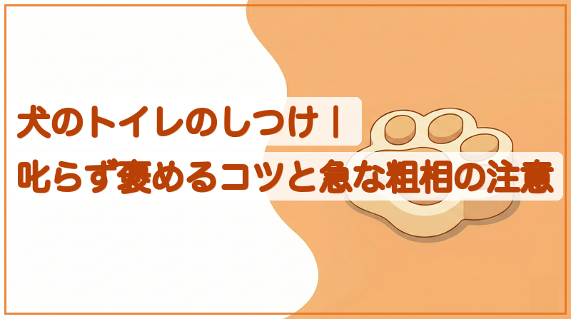 犬のトイレのしつけ｜叱らず褒めるコツと急な粗相の注意をイメージできる記事のメイン画像
