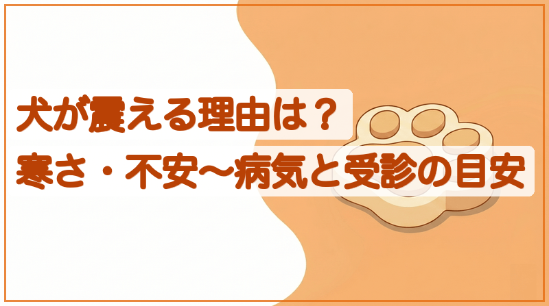 犬が震える理由は？寒さ・不安から危険な病気まで受診の目安も解説をイメージできる記事のメイン画像