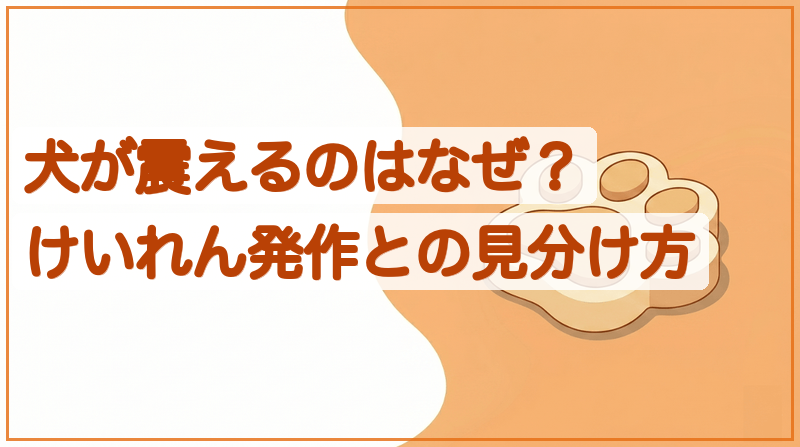 犬が震えるのはなぜ？心配ない震えと危険な震えの見分けをイメージできる記事のメイン画像