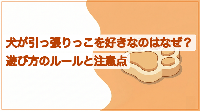 犬が引っ張りっこを好きなのはなぜ？遊び方のルールと注意点をイメージできる記事のメイン画像