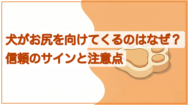 犬がお尻を向けてくるのはなぜ？信頼のサインと注意点をイメージできる記事のメイン画像