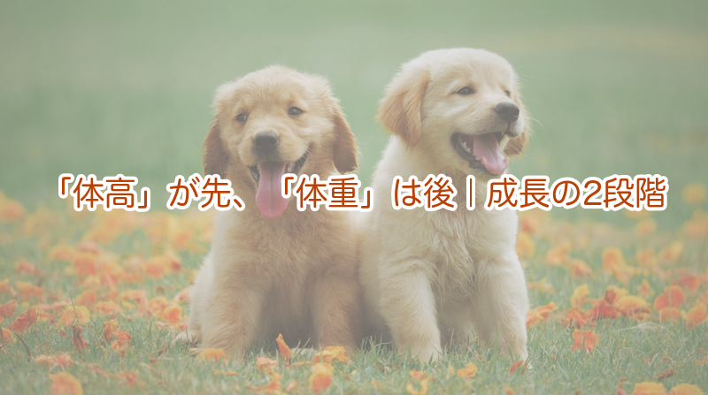 「体高」が先、「体重」は後｜成長の2段階