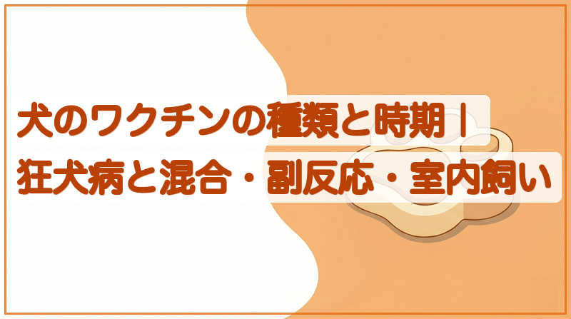 犬のワクチンの種類と時期｜狂犬病と混合・副反応・室内飼いをイメージできる記事のメイン画像