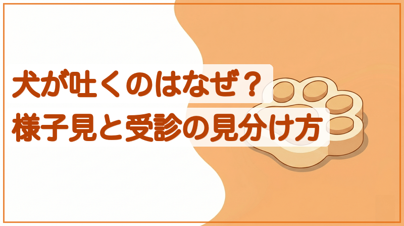 犬が吐くのはなぜ？吐いたものの色でわかる見分けと受診をイメージできる記事のメイン画像