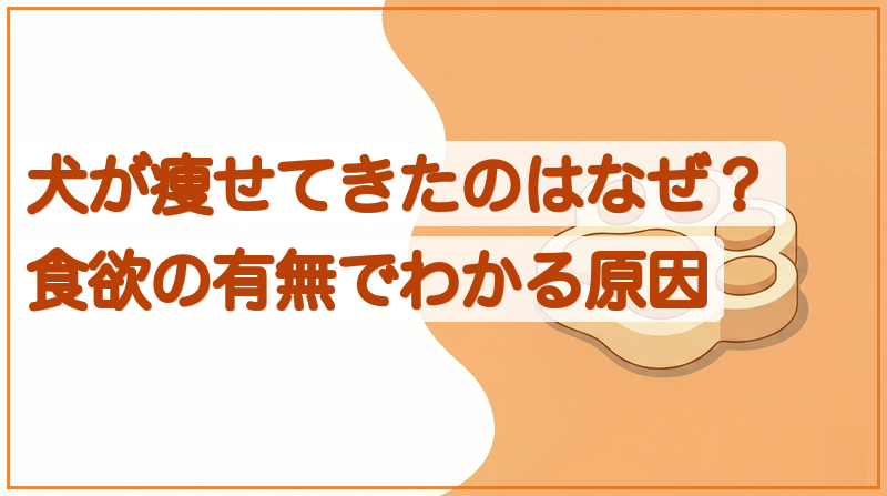 犬が痩せてきたのはなぜ？食欲の有無でわかる原因をイメージできる記事のメイン画像