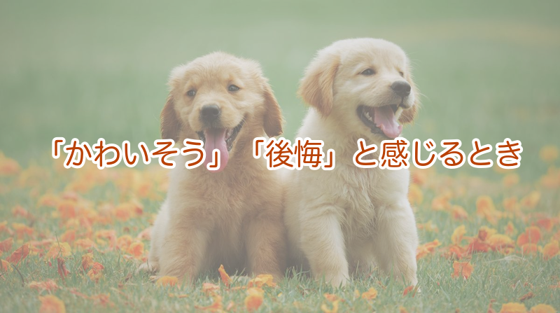 「かわいそう」「後悔」と感じるとき